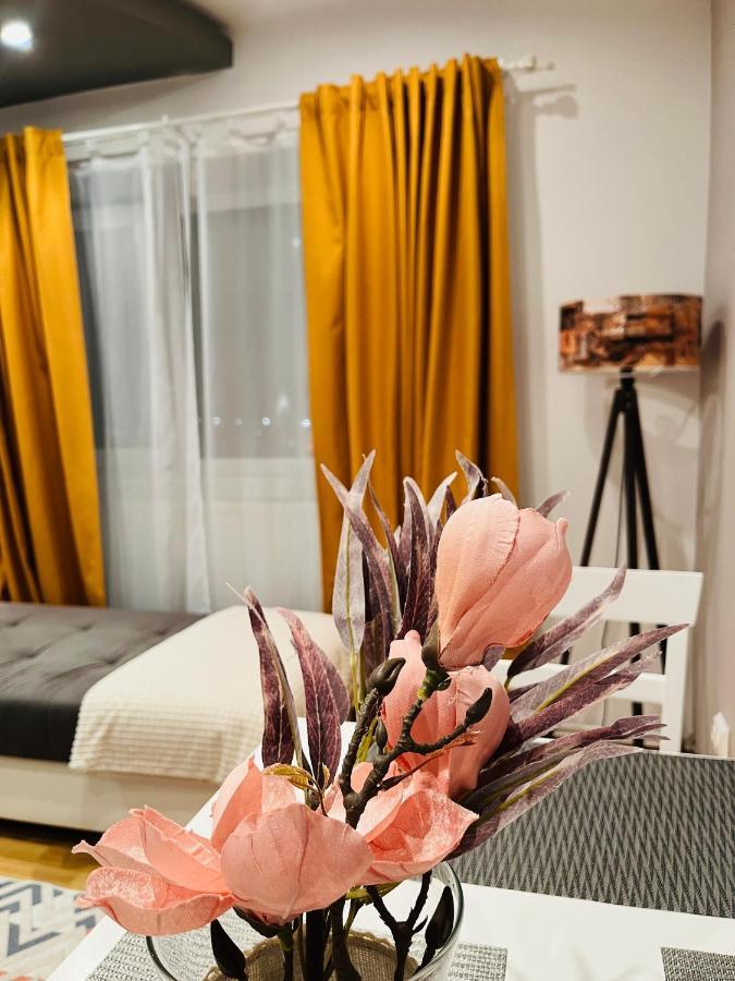 Confort View Apartment Iasi - 3 Rooms-Like Home Εξωτερικό φωτογραφία